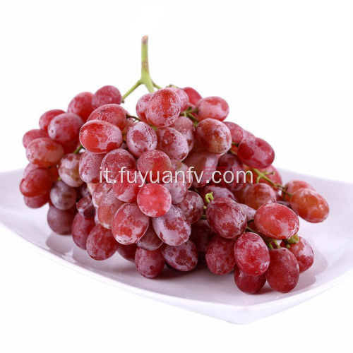 Migliore qualità e prezzo per l&#39;uva rossa